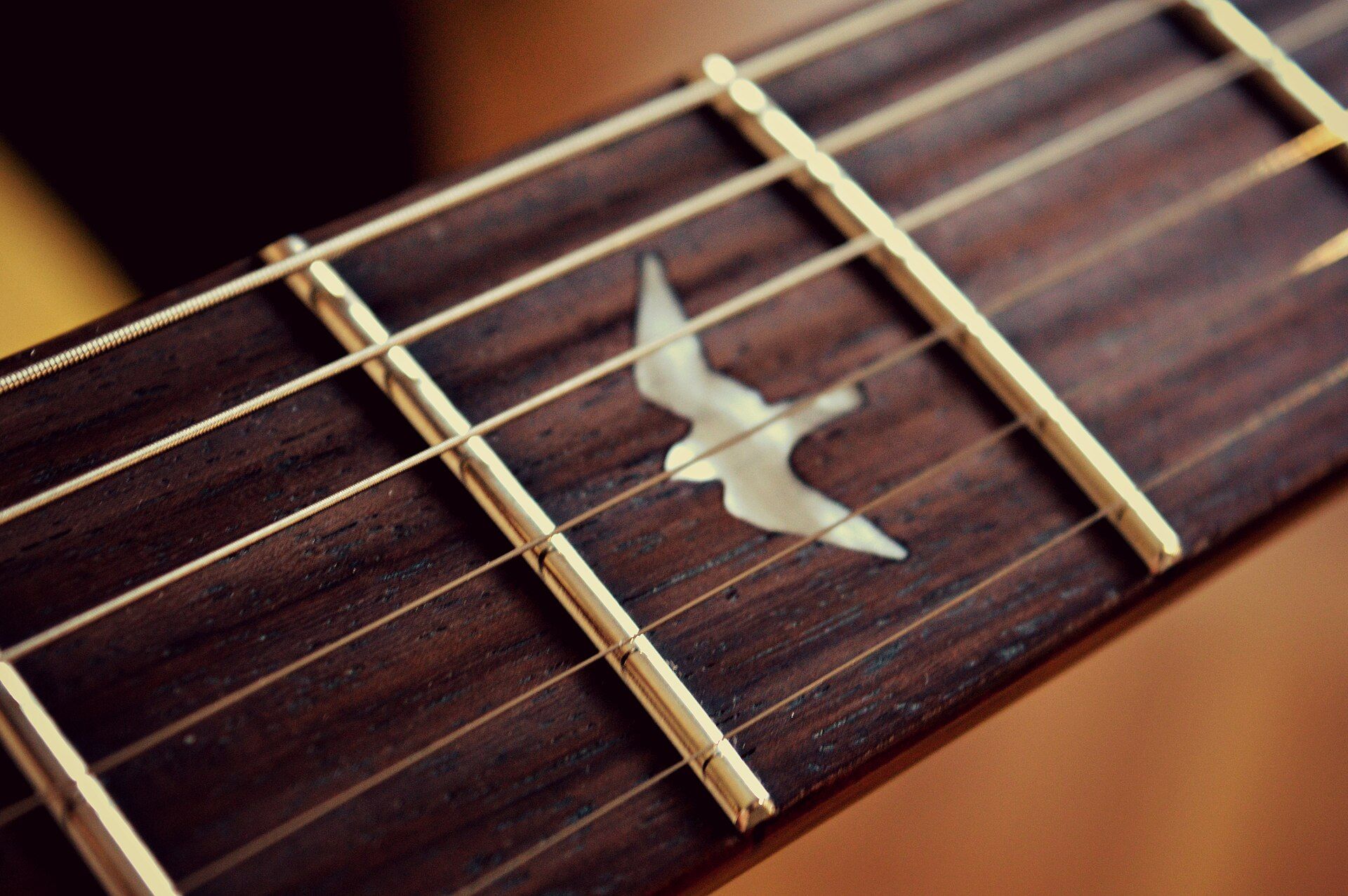 PRS_SE_Custom_24_Inlay.jpg